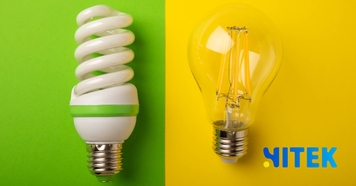 Web development vs app development